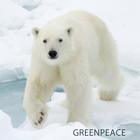 greenpeace